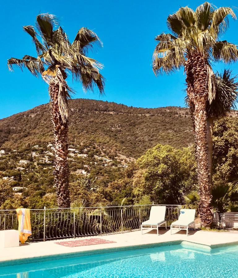 Villa Hirondelles 35 キャバレール・シュル・メール エクステリア 写真